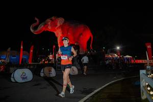 BIB: 
                            <button type="button" onclick="openModal(26551992)" class="btn btn-primary btn-sm float-right btn-popup" data-toggle="modal" data-target=".modal-high-quality">
                        <i class="fas fa-shopping-cart"></i> Add to Cart
                    </button>
                                            <button type="button" onclick="isThisMe(26551992, true)" class="btn btn-success btn-sm float-right btn-popup btn-isme hidden" data-toggle="tooltip" data-placement="bottom" title="นี่คือรูปของคุณใช่ไหม คลิกที่นี่เพื่อเอาเข้าอัลบั้ม">
                        <i class="fas fa-plus"></i> Add to album
                    </button>
                    <button type="button" onclick="isThisMe(26551992, false)" class="btn btn-warning btn-sm float-right btn-popup btn-isnotme hidden">
                        <i class="fas fa-ban"></i> Remove from album
                    </button>